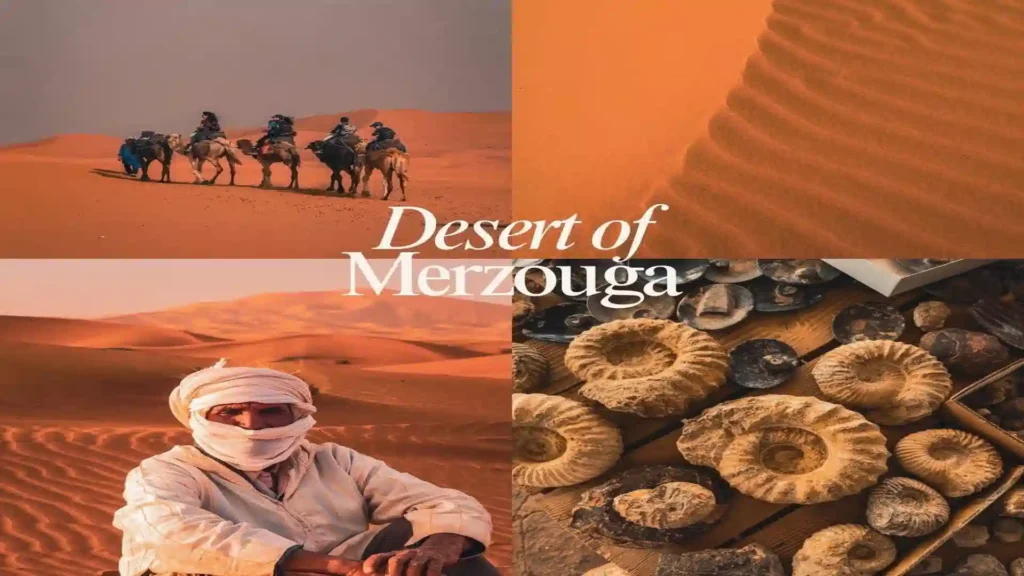 best time to Visit Morocco Four-panel image of the Merzouga Sahara Desert showing a camel trek line, sweeping sand dunes, a nomad in a traditional turban, and ancient desert fossils.