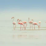 Morocco highway expansion 2027