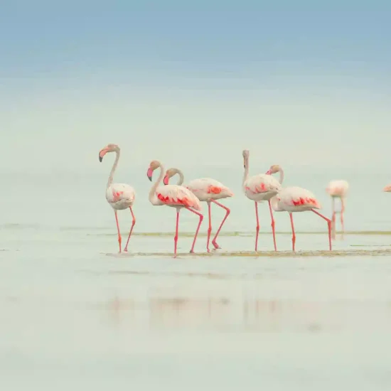 Morocco highway expansion 2027