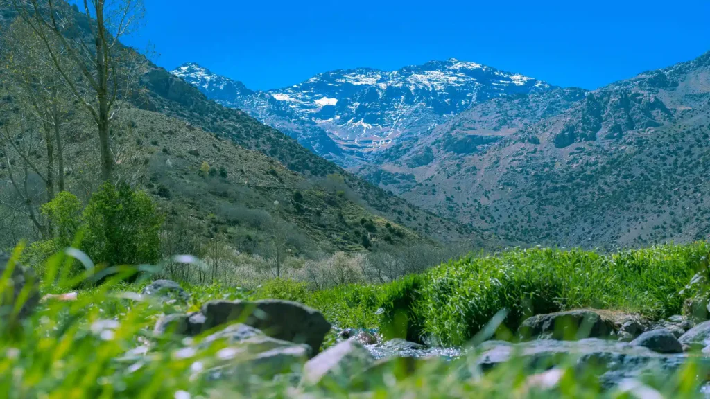 Dades Valley to Ziz Valley via Tinghir