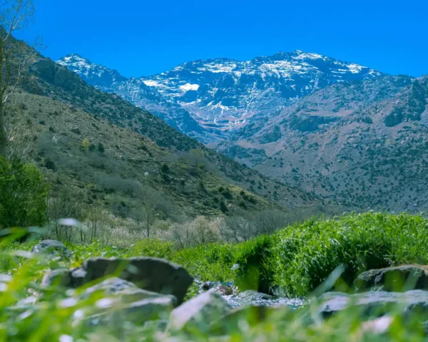 Dades Valley to Ziz Valley via Tinghir