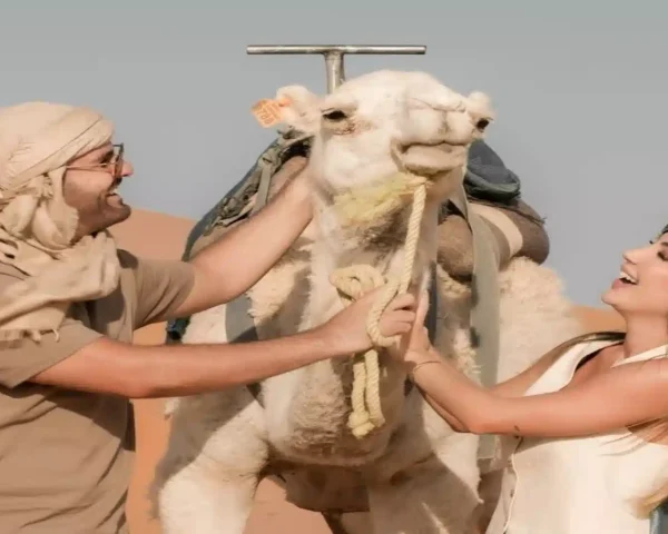 The Ultimate 14-Day Morocco Road Trip