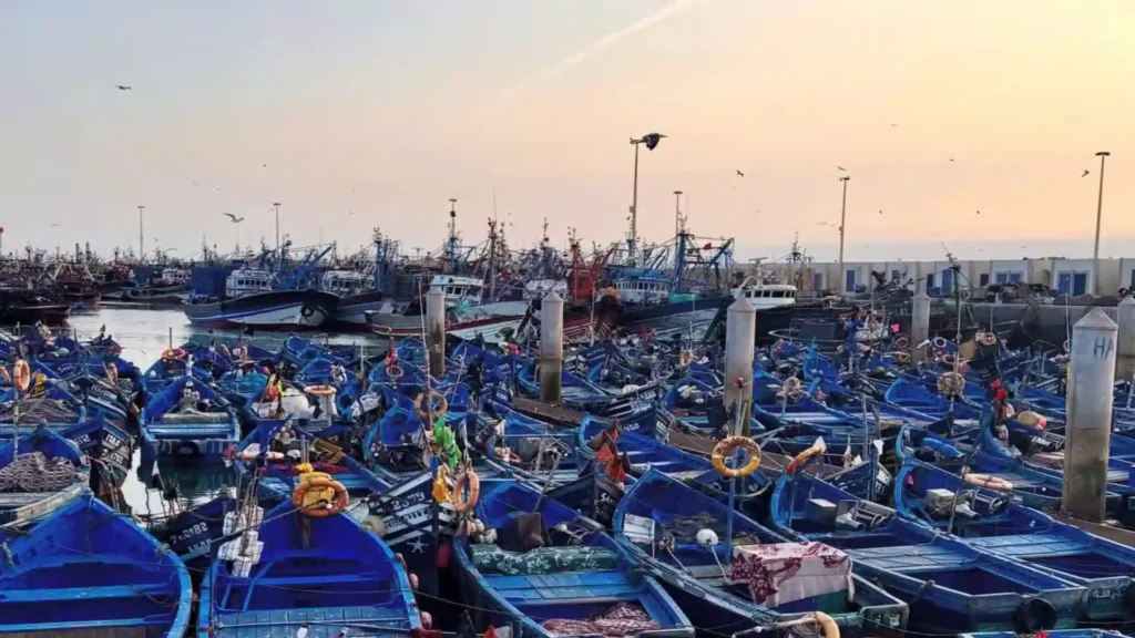 Essaouira Travel Guide