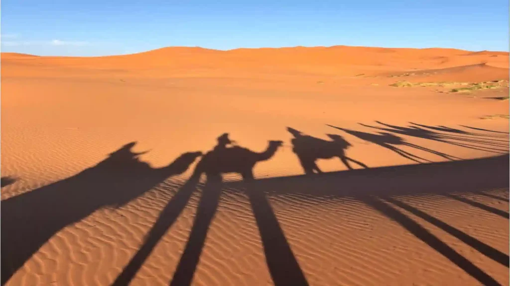 Merzouga vs Zagora