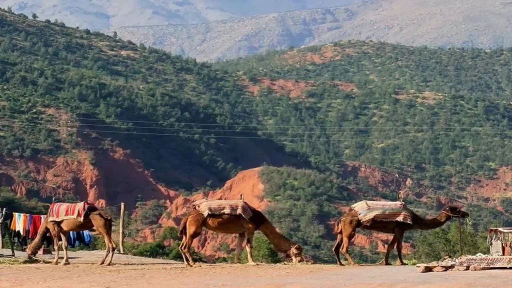 Best Morocco itinerary map 7-day route Marrakech to Sahara Desert