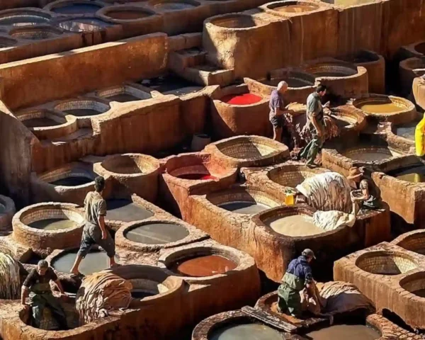 Chouara Tannery Fes Morocco — aerial view of the medieval leather tannery dye vats from rooftop terrace, Over Morocco Tours Fes guide 2026