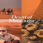 A four-picture travel collage showing camel trekking, sand dune textures, a Berber guide, and local fossil finds with overlay text reading Desert of Merzouga Morocco.