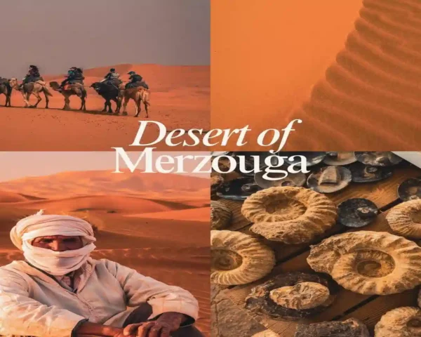 A four-picture travel collage showing camel trekking, sand dune textures, a Berber guide, and local fossil finds with overlay text reading Desert of Merzouga Morocco.