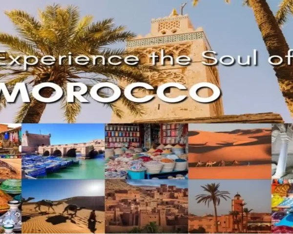 Promotional travel poster featuring the Koutoubia Mosque minaret framed by tall palm trees above a collage of Moroccan desert, souks, and coastal scenes.cities of Morocco.