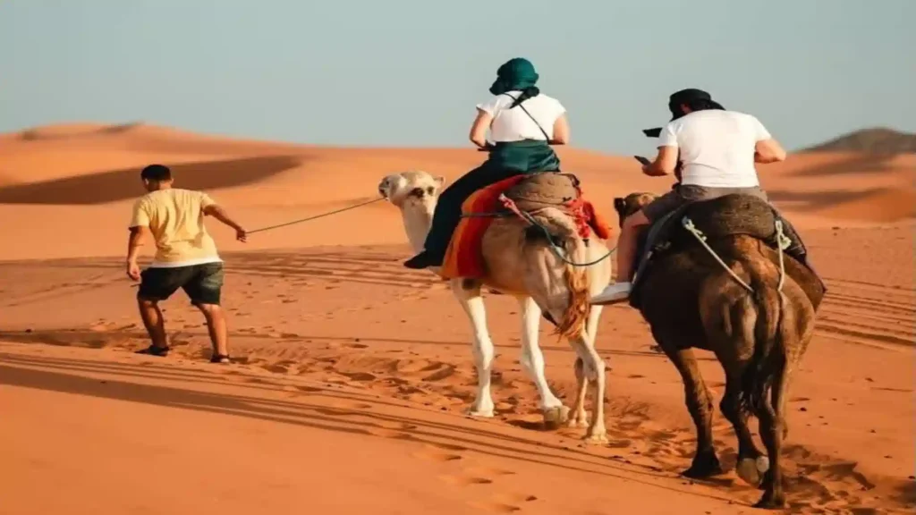 Local guide leading two travelers on camels across orange sand dunes on a camel trek in Morocco.