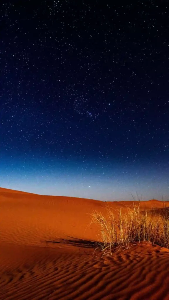 Clear starry night sky over orange sand dunes showcasing astronomical Sahara Desert facts.