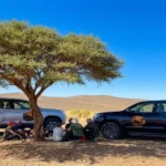 Private 4x4 & Guided Tours – How to Get Around Morocco