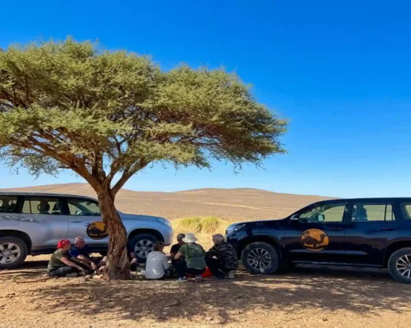 Private 4x4 & Guided Tours – How to Get Around Morocco