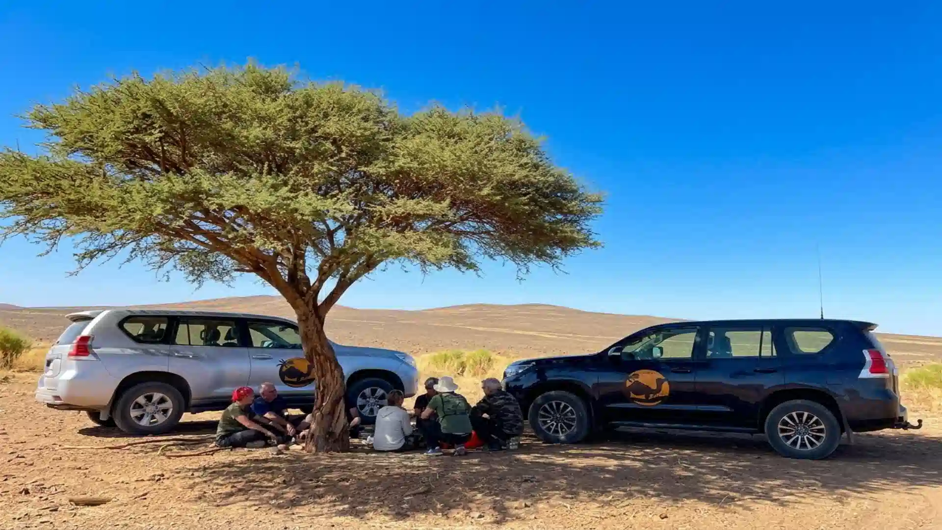 Private 4x4 & Guided Tours – How to Get Around Morocco