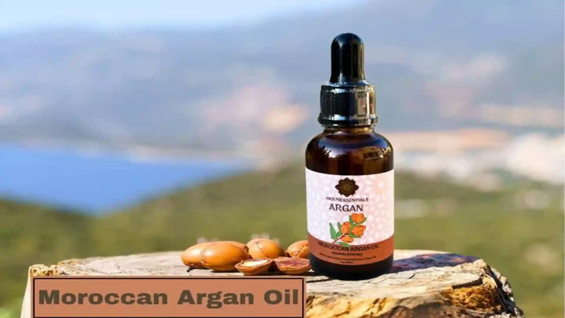 Moroccan argan oil glass bottle with dropper resting on a tree trunk against a scenic background