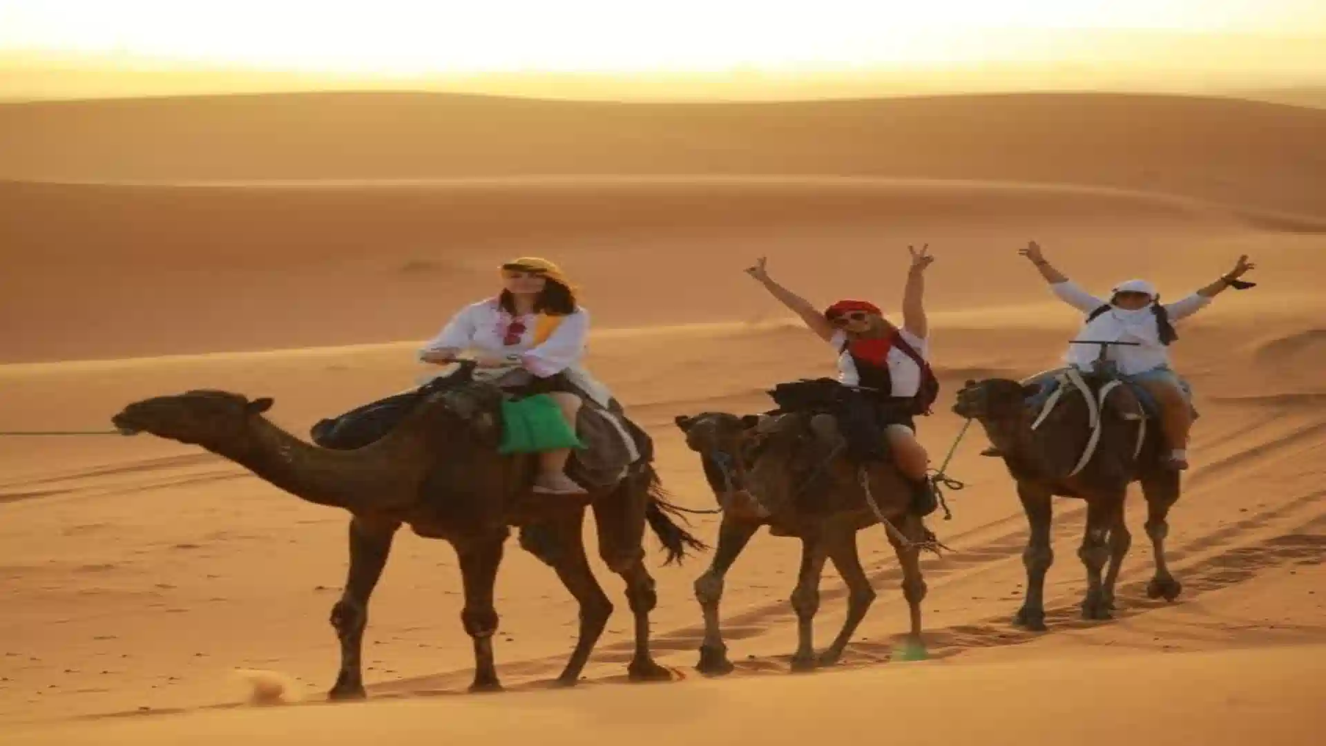 Three happy women wearing headscarves riding camels in a line across golden sand dunes during a desert sunset in Erg Chebbi, Morocco.1 week in Morocco