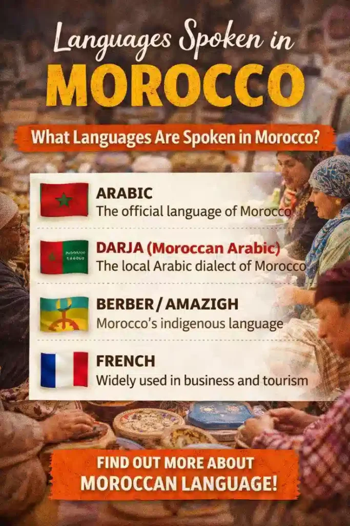 An educational graphic detailing Arabic, Darija, Berber, and French to explain what language is spoken in Morocco.
